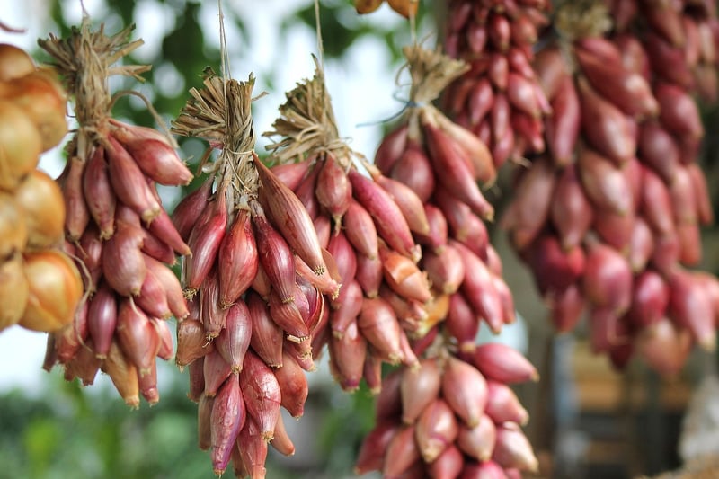 Organic Gardening Groups